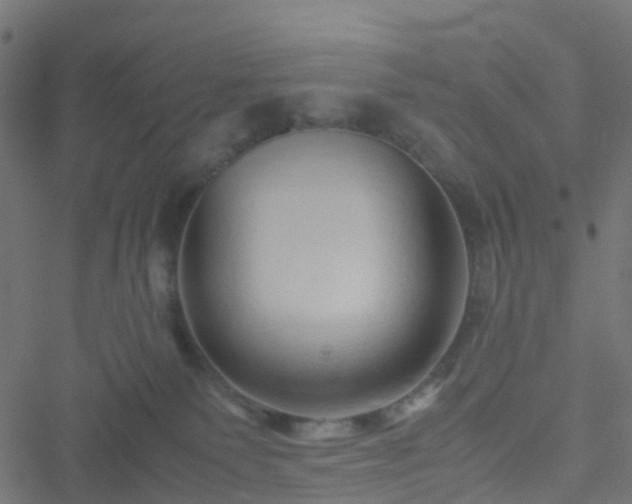 X0000051250135200506241556