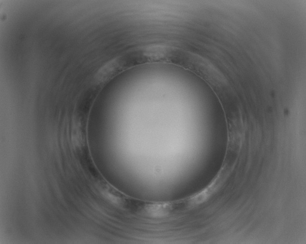 X0000051250136200506241556