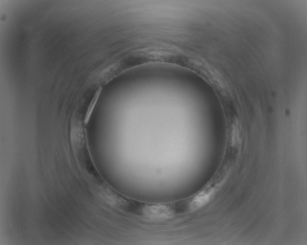 X0000051250137200506241556