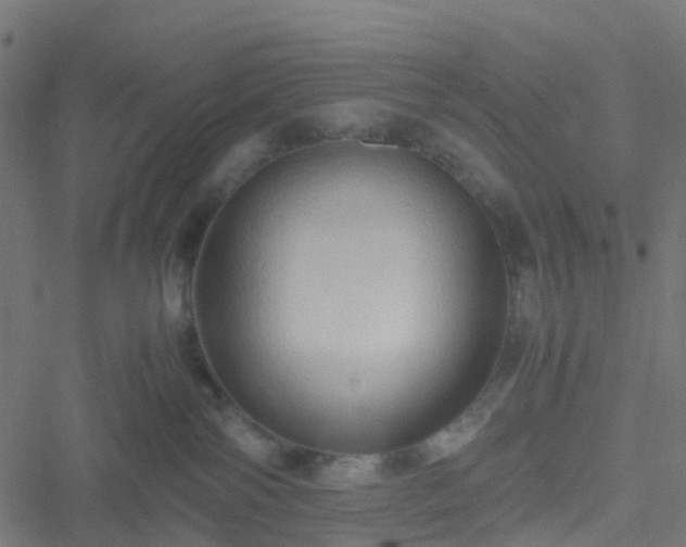 X0000051250138200506241556