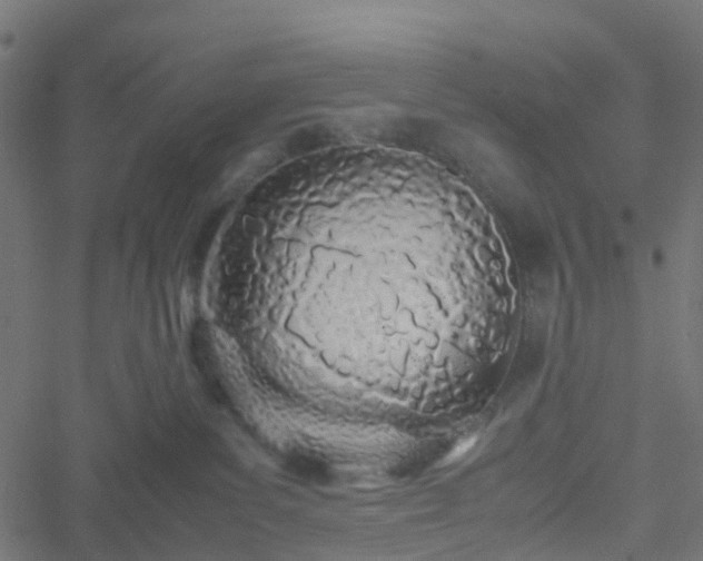 X0000051250139200506241556