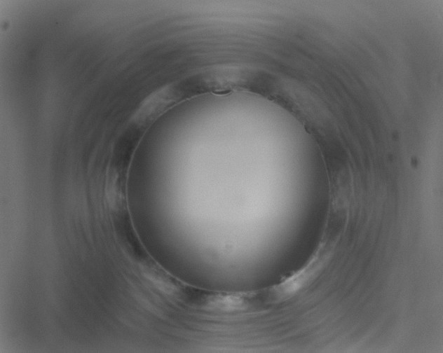 X0000051250140200506241556