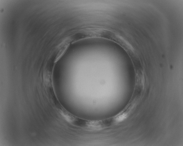 X0000051250141200506241556