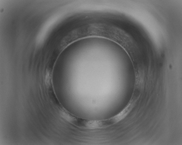 X0000051250142200506241556