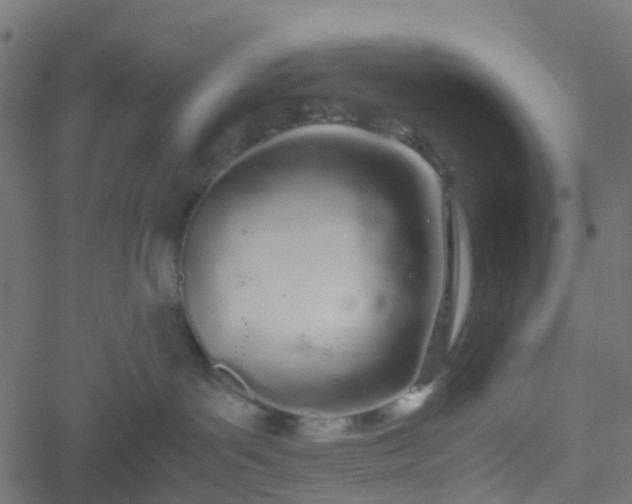 X0000051250143200506241556