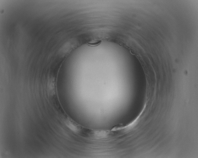 X0000051250144200506241556