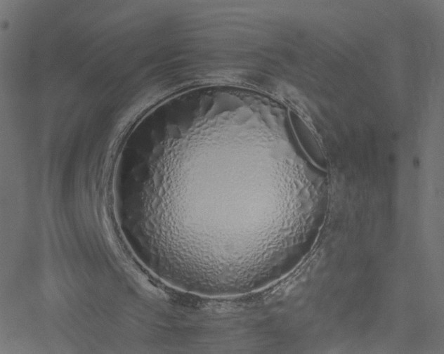 X0000051250145200506241555