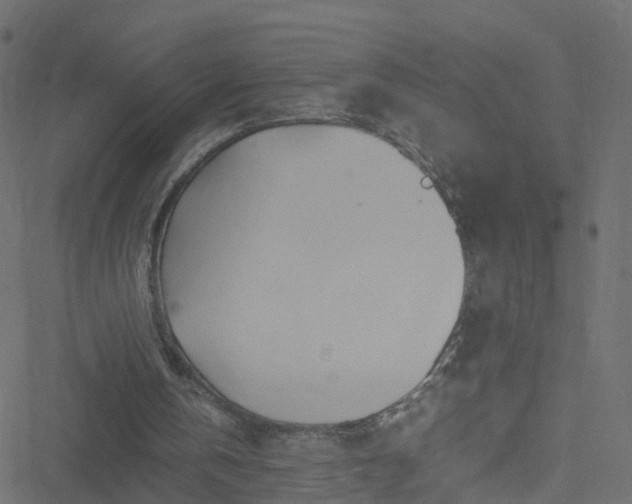 X0000051250146200506241555