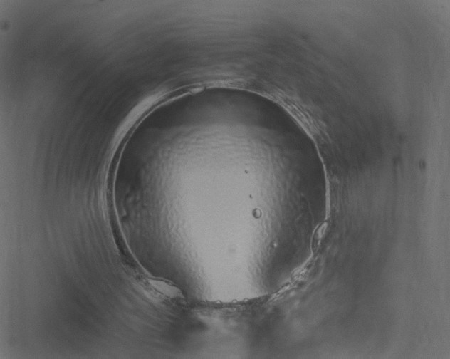 X0000051250147200506241555