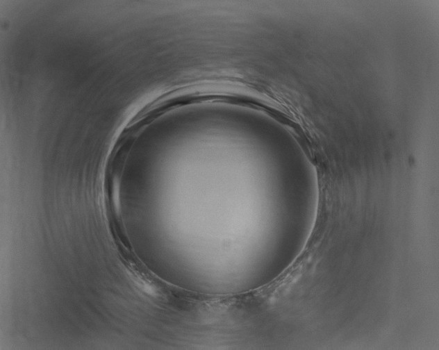 X0000051250148200506241555