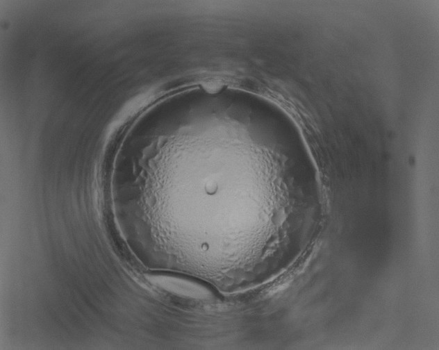 X0000051250149200506241555