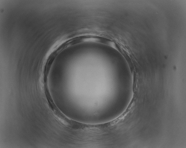 X0000051250150200506241555