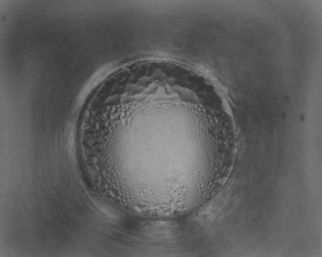 X0000051250151200506241555