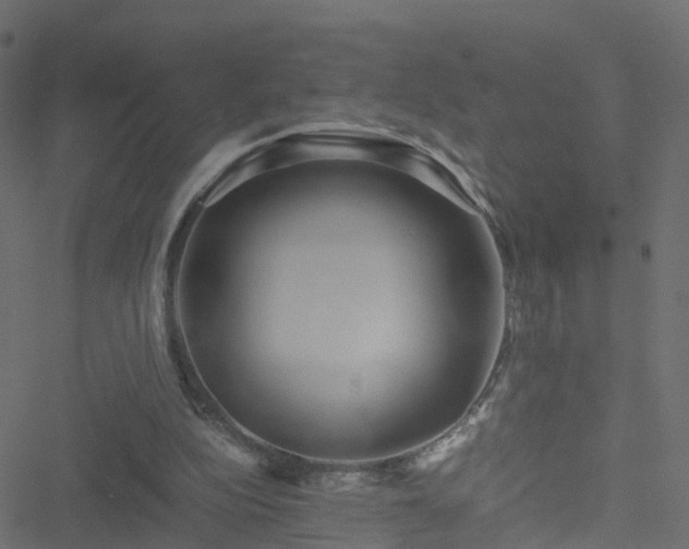 X0000051250152200506241555