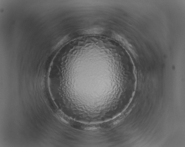 X0000051250153200506241555