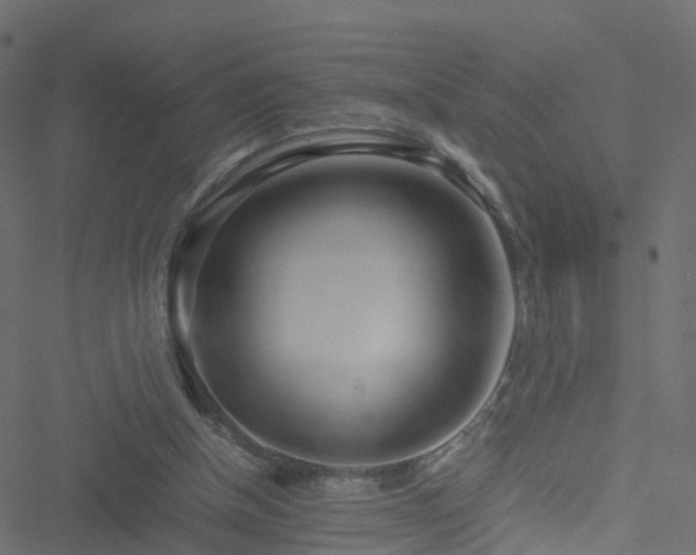 X0000051250154200506241555