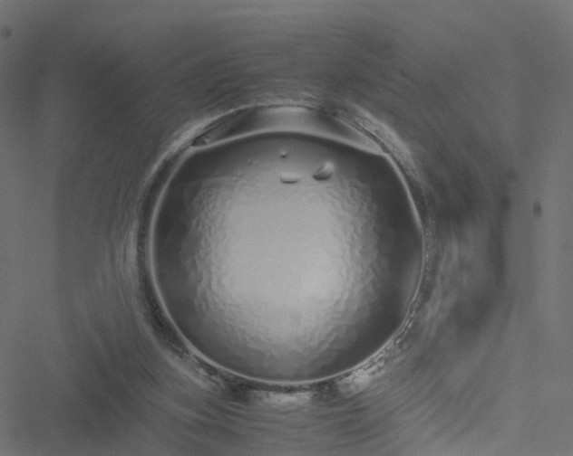 X0000051250155200506241555