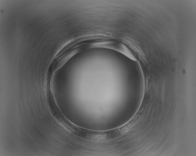 X0000051250156200506241555