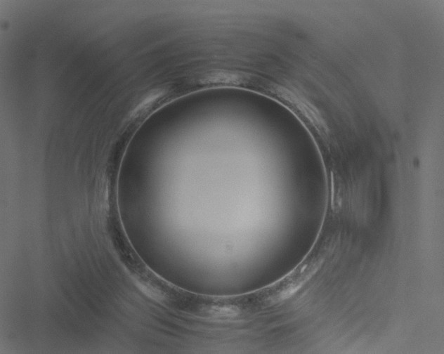 X0000051250157200506241555