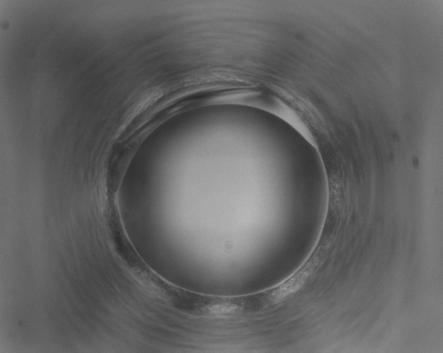 X0000051250158200506241555