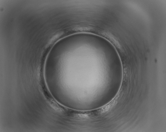 X0000051250159200506241555