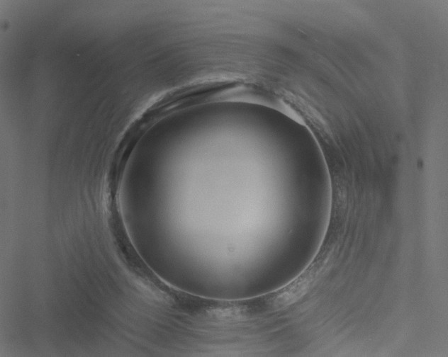 X0000051250160200506241555