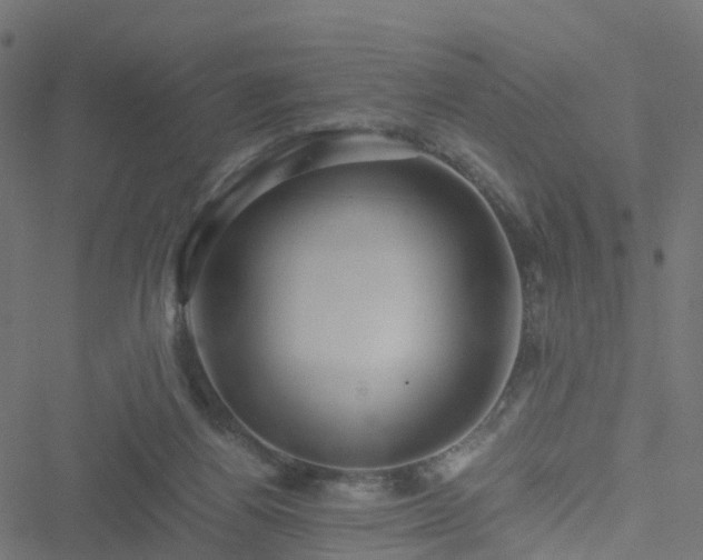 X0000051250164200506241555