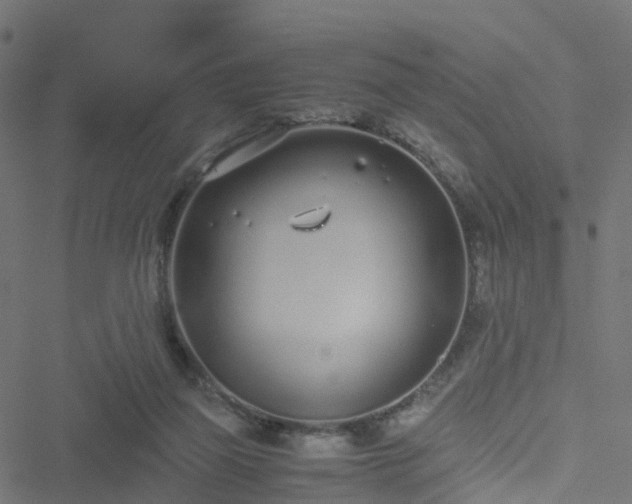 X0000051250165200506241555