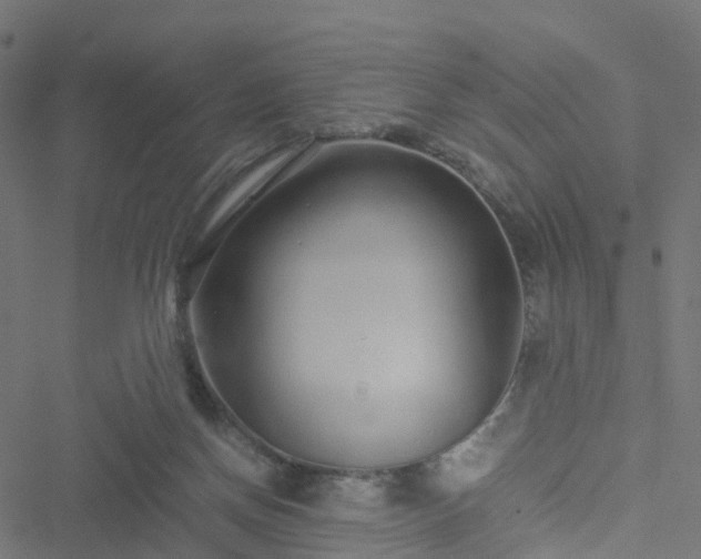 X0000051250166200506241555