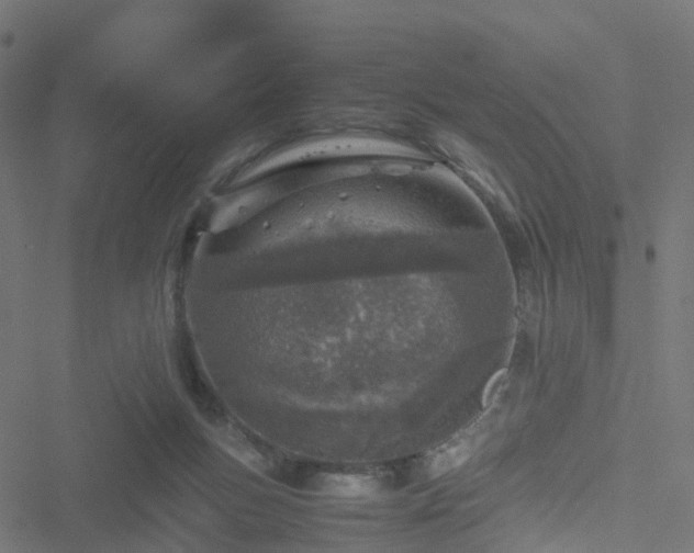 X0000051250167200506241555