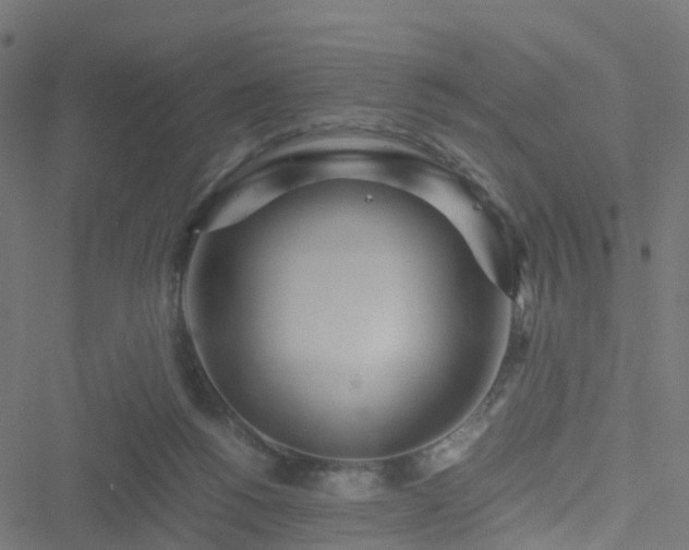 X0000051250168200506241555