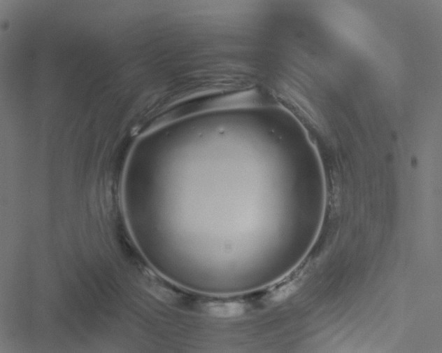 X0000051250169200506241556