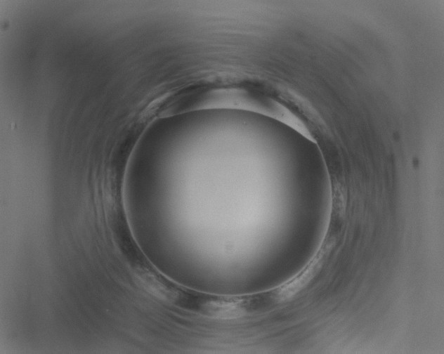 X0000051250170200506241556