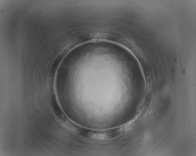 X0000051250171200506241556