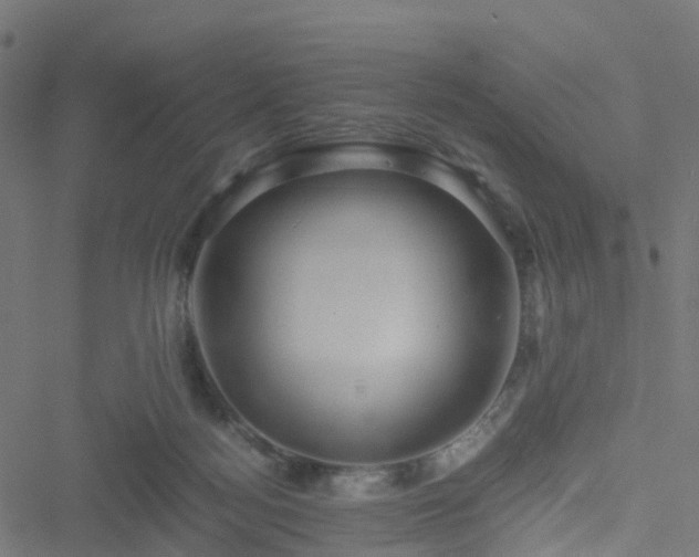 X0000051250172200506241556