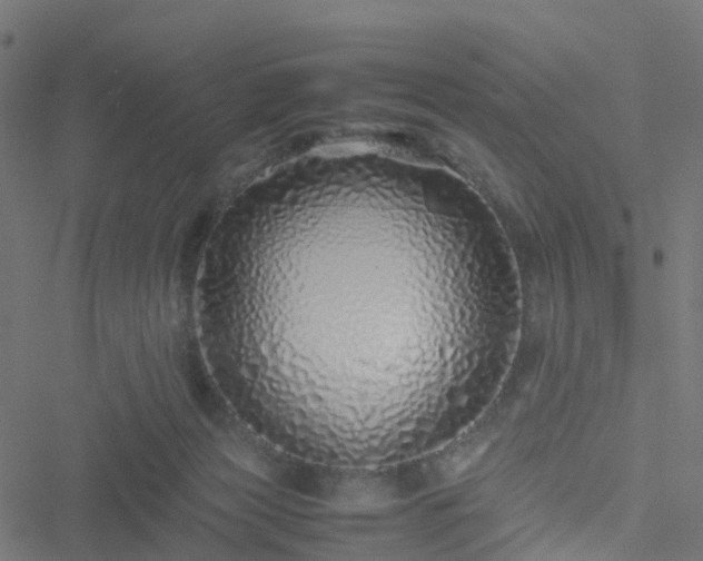 X0000051250173200506241556