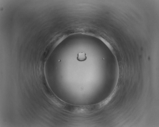 X0000051250174200506241556