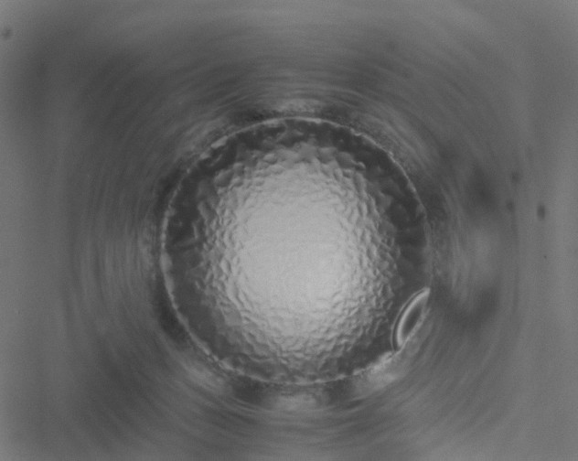 X0000051250175200506241556