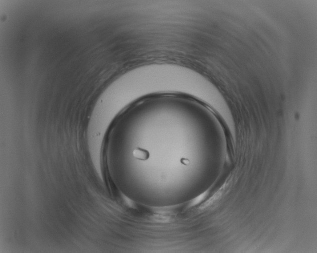 X0000051250176200506241556