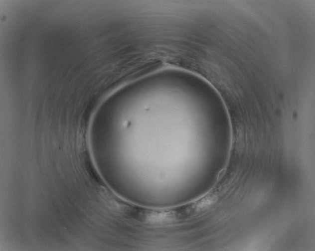 X0000051250177200506241556