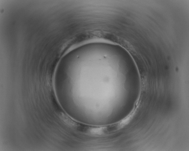 X0000051250178200506241556