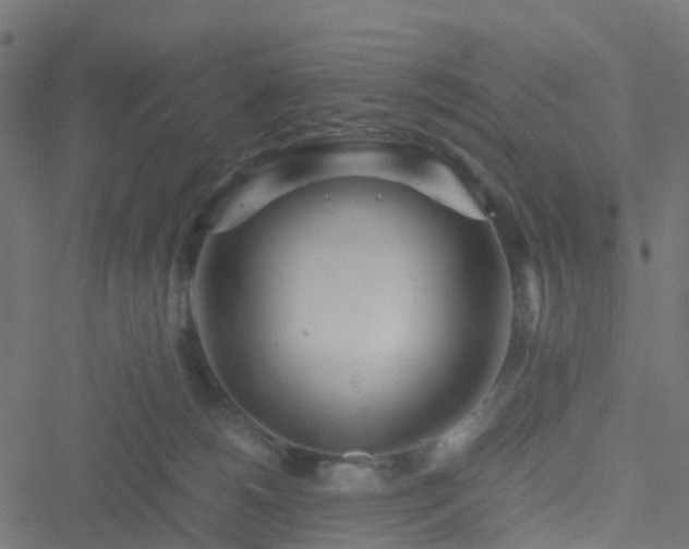 X0000051250180200506241556