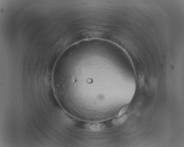 X0000051250181200506241556