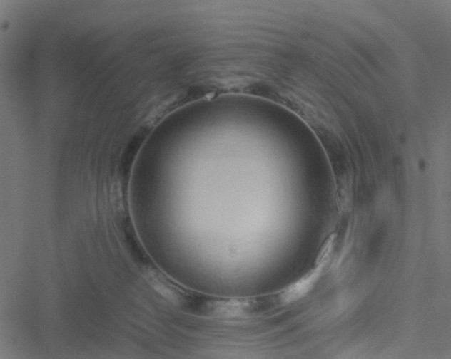 X0000051250182200506241556