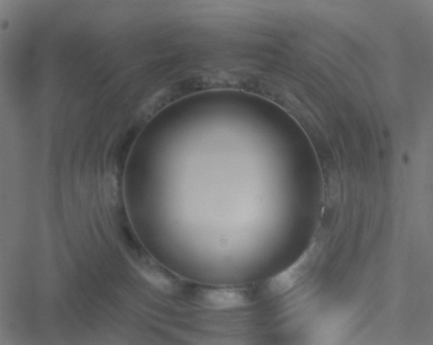 X0000051250183200506241556