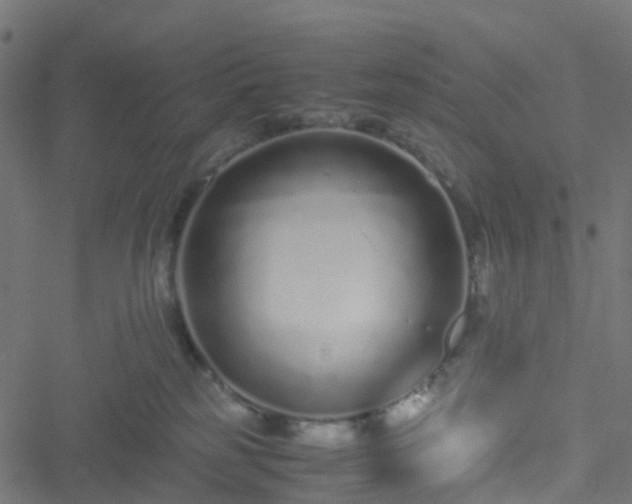 X0000051250185200506241556