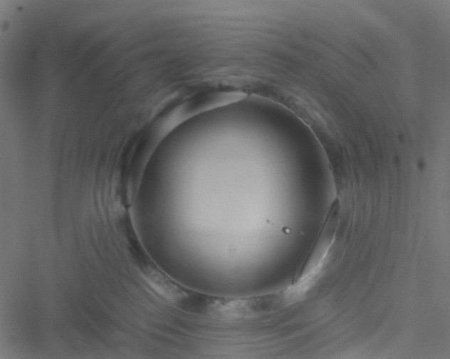 X0000051250186200506241556