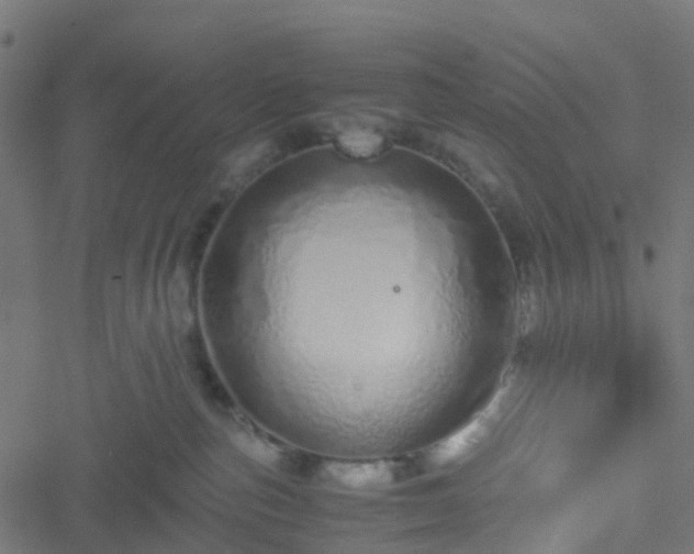 X0000051250187200506241556