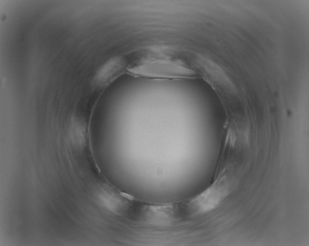 X0000051250188200506241556