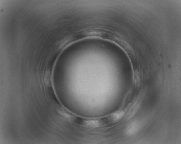 X0000051250189200506241556